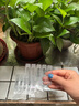 威尔基纱窗防蚊贴防虫网窗户漏洞孔洞封堵排水口防蚊虫纱网窗纱自粘缝隙 流水孔纱窗贴【到手12片60贴】 实拍图