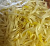 绿豆芽300g 实拍图