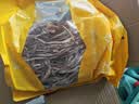 金唐茶树菇500g 未开伞茶树蘑菇山珍菌菇干货源头直发 实拍图