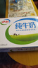 伊利纯牛奶250ml*24盒 优质乳蛋白早餐奶 4月产 实拍图
