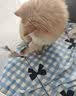 CFA赛级逗猫棒猫咪玩具长杆羽毛替换头耐抓咬猫玩具用品自嗨解闷 CFA赛级长杆逗猫棒-木杆弹簧款+替换头-1个 实拍图