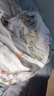 贝肽斯婴儿睡袋夏季竹棉纱布宝宝睡衣分腿儿童防踢被睡袋前4后2乔兔 M 实拍图