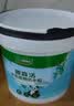 三棵树漆（SKSHU） 三棵树外墙透明防水胶 免砸砖防水涂料家用屋顶房顶外墙屋面补漏 2斤【外墙透明速干】附带刷子 实拍图
