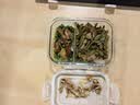 澳纽宝 新西兰草饲原切牛尾骨1斤 炖煮食材 生鲜牛肉 实拍图