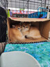 网易严选全价猫粮4.0 宠物主粮成幼猫无谷多重禽肉高蛋白 鸡鸭禽肉味10kg 实拍图