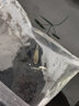 胜画小型观赏鱼孔雀鱼热带鱼活体鱼淡水好养耐活鱼苗精品纯种凤尾鱼 【3-4CM】A大型孔雀鱼3对送1对 实拍图