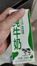 现代牧业三只小牛纯牛奶京东自营早餐奶100%生牛乳200ml*24盒 实拍图
