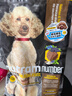 纽顿（Nutram Number）纽顿狗粮美国进口T28无谷低升糖鳟鱼幼犬成犬全龄犬 T28-6kg 实拍图