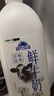 蒙牛（MENGNIU）现代牧场鲜牛奶1500ml巴氏杀菌桶装鲜牛奶 实拍图