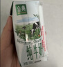 伊利【新鲜日期】金典纯牛奶整箱 200ml*24 3.6g乳蛋白 礼盒装 5月 实拍图