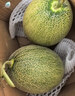 京鲜生 哈密瓜/西州蜜 1粒 单果2.5斤起 生鲜水果 实拍图
