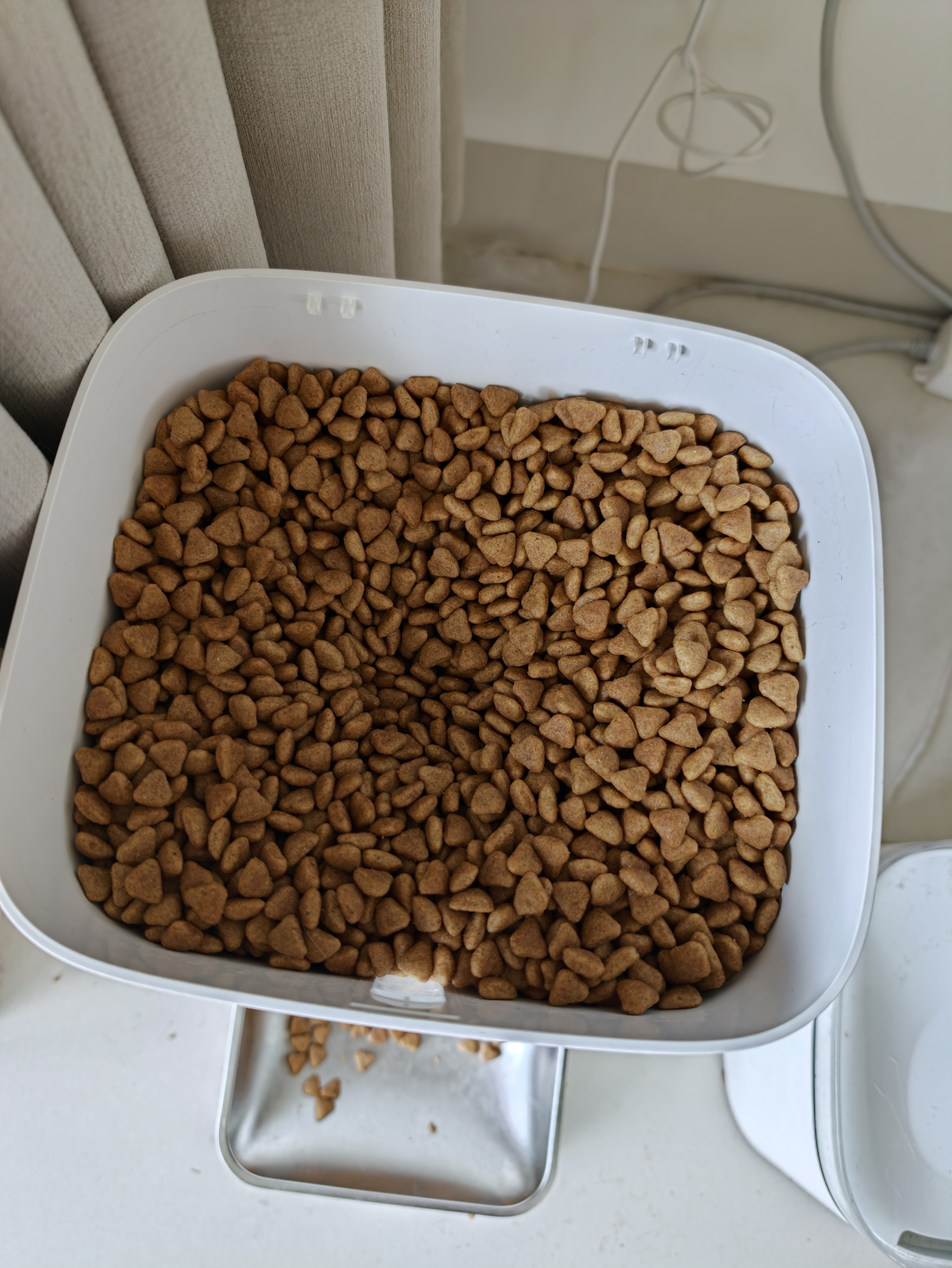 皇家猫粮 室内成猫粮 I27 通用粮 12月以上 10KG 实拍图