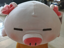 名创优品（MINISO）小猪B-BO弹力超柔趴姿公仔毛绒玩偶儿童玩具抱枕靠枕生日礼物女 实拍图