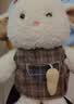 名创优品（MINISO）塔妮兔秋日系列小兔子玩偶可爱趴姿小号毛绒公仔陪睡抱枕礼物送女 实拍图