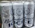 百威冰啤酒500ml*18听整箱装【99%好评】京东自营 实拍图