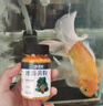 宠翰黄粉鱼药观赏鱼白点净水霉病血鹦鹉锦鲤鱼烂尾水族养鱼用品 实拍图