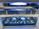 BESSN贝森免洗水草泥鱼缸不浑水造景底砂营养土基肥5斤约2.4L 实拍图