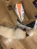 凡可奇狗粮小型犬通用全价狗粮 【真鲜乳鸽】2kg*2 实拍图