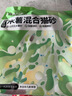 名创优品猫砂木薯猫砂次日达京东自营猫砂除臭纯木薯植物猫砂不沾底*1包 实拍图