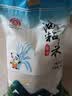 国宝桥米油粘米10斤长粒大米 湖北鱼米之乡煲仔饭用米好吃南方籼米新米 实拍图