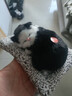 毛绒仿真猫会叫睡猫汽车摆件竹炭垫子猫净化空气家居装饰礼品玩偶 款式9 晒单实拍图