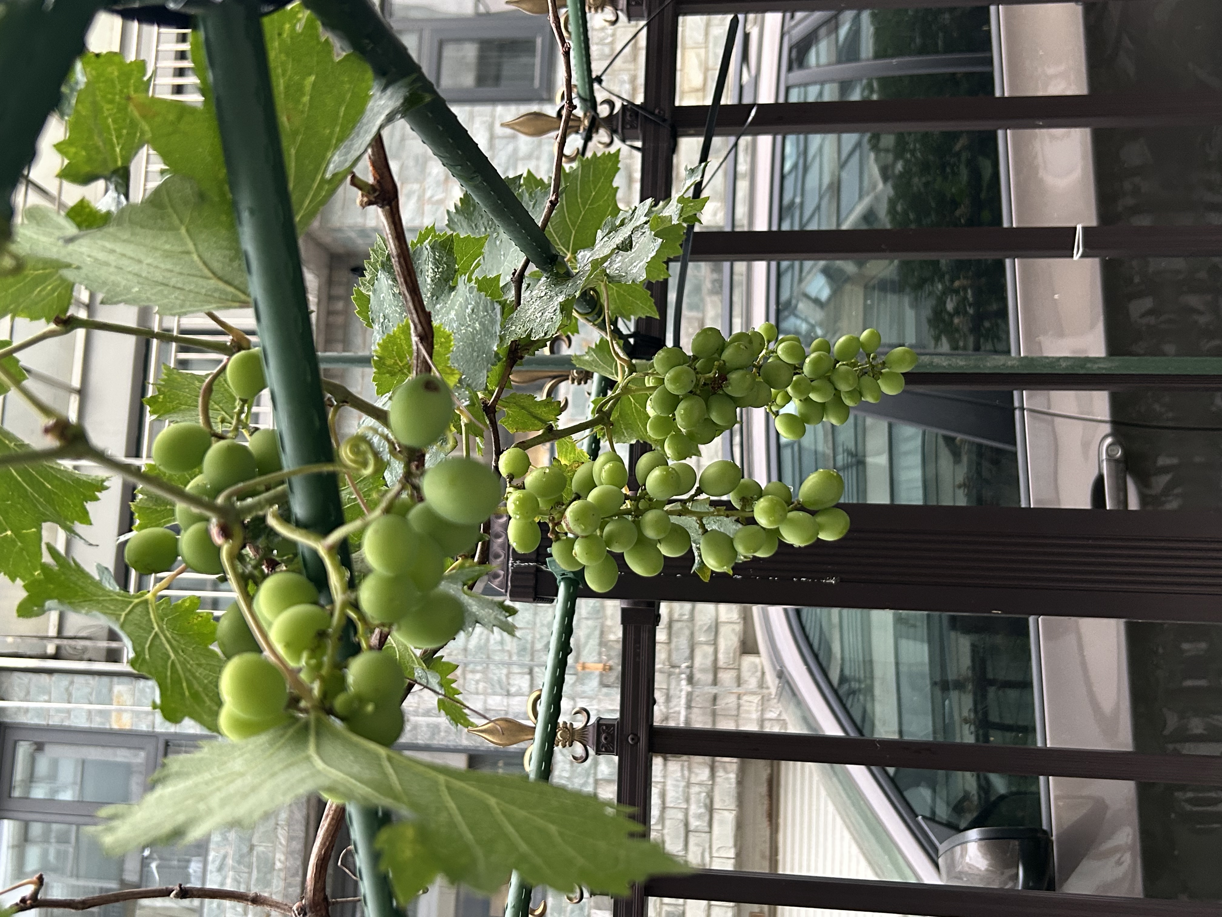 松下空调【外机1.5排纯铜管】挂机松之舞1.5匹一级能效变频冷暖省电独立除湿自清洁健康风HZ35K410Q 实拍图
