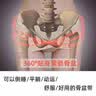大人有喜骨盆带骶髂关节护腰带孕妇产后耻骨分离前倾收胯盆骨固定修复带器 升级款 L 实拍图