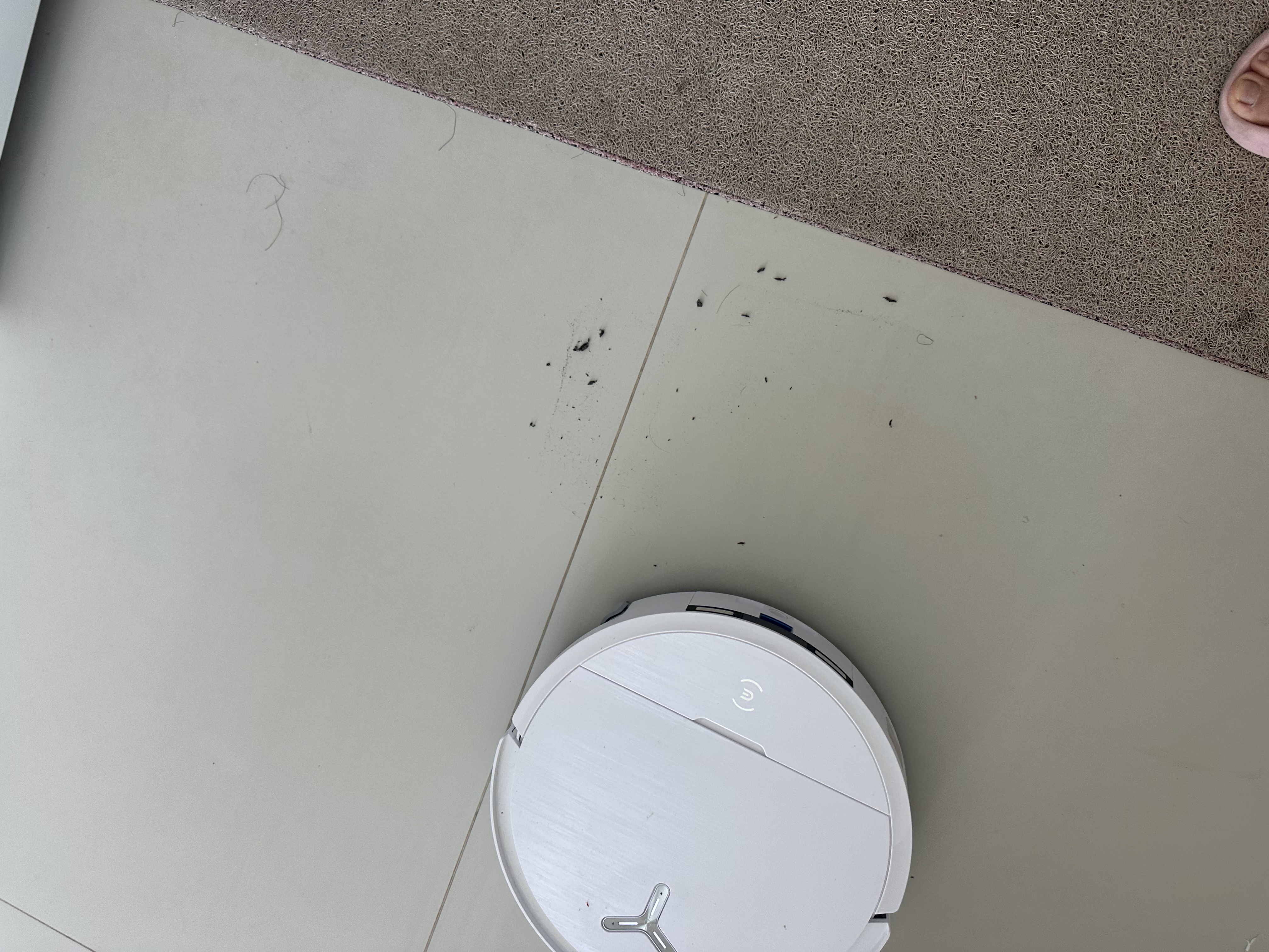 科沃斯T80S PRO PLUS扫地机器人扫拖洗烘一体自动清洗集尘滚筒洗地机器人上下水版 实拍图