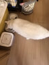 倍内菲猫粮经典系列全价无谷冻干鸡肉鱼肉牛羊肉成幼猫咪全期营养主粮 经典鸡肉猫粮1.8kg 实拍图