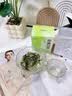 七春安吉珍稀白茶 2026明前绿茶 浙江茗茶 盒装茶叶冷泡茶自己喝20g 实拍图