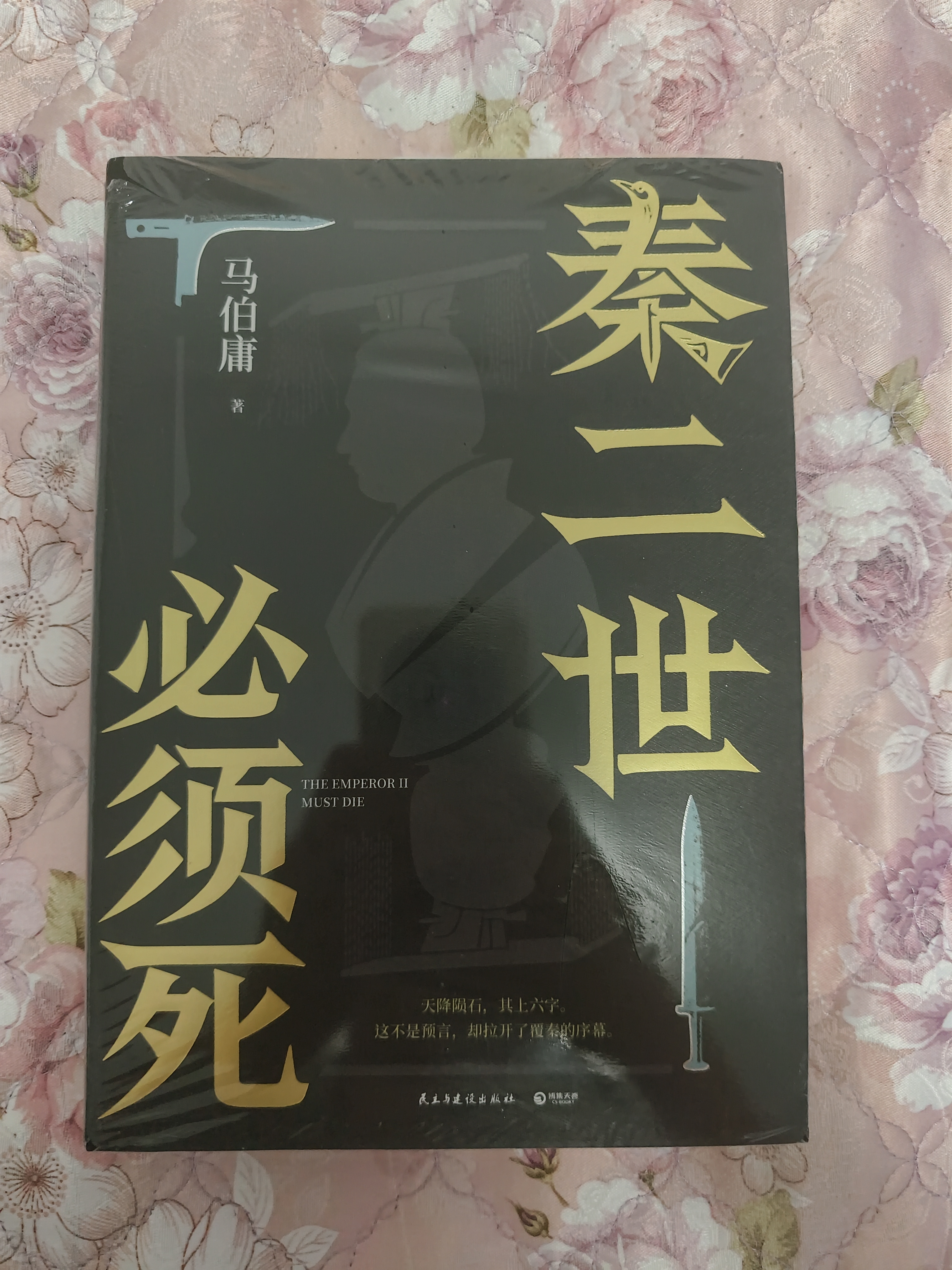 【自营现货包邮】秦二世必须死 马伯庸2026年全新长篇历史传奇小说 天降陨石上书六字谶言，掀起亡秦序幕 张苍、张良、项伯、孟姜女、徐福 来自七国的亡命之徒，目标只有一个：秦二世必须死 实拍图