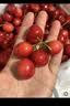 巴拉巴拉儿童泳衣男童女童宝宝2026年夏新分体泳装防晒耐氯泳衣裤卡通套装 实拍图