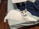 美士进口一分为二营养餐盒混合口味75g*24猫罐头宠物零食慕斯肉泥系列 实拍图