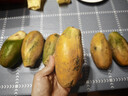 红心牛奶木瓜冰糖心木瓜新鲜水果现摘现发 5斤带箱 单果300g+ 实拍图