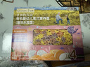 爷爷的农场有机婴幼儿蝴蝶面200g 宝宝辅食婴儿面条儿童早餐钙铁锌6-12个月 实拍图