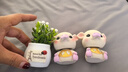 齐选汽车饰品摆件个性摇头小猪车载车内可爱创意中控台公仔车上装饰品 金甲平安猪+幸运猪+白盆吉祥果 实拍图