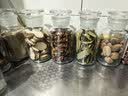 川珍佐食光去腥组合280g 草果肉蔻白芷 香辛料炖肉大料卤味调料 实拍图