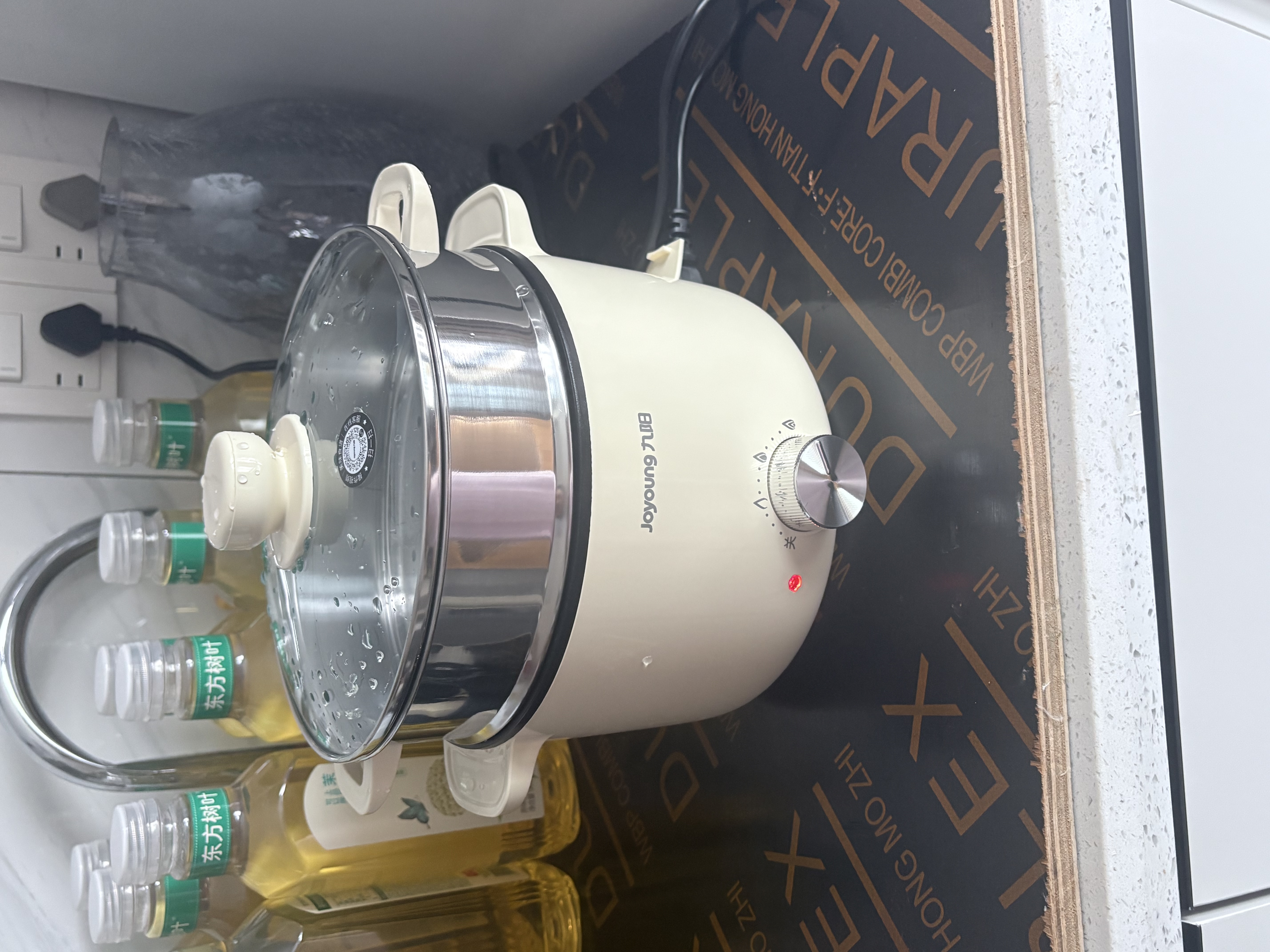 九阳（Joyoung）电煮锅电热锅泡面火锅宿舍小电锅电蒸锅寝室2.5L蒸煮一体蒸屉蒸笼电蒸锅HG25-G201S 实拍图