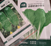 寿禾白菜种子大全夏秋季胶州大白菜耐热蔬菜种籽 10种白菜种子大全 实拍图
