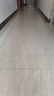 添可极客2.0【110℃除菌 28Kpa暴风吸】家用洗地机洗拖吸一体 扫地机器人 洗地拖地一体机 实拍图