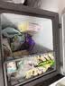 海信（Hisense）218升双温冰柜一级能效冷藏冷冻速冻小型家用小冰箱变频国家补贴BCD-218S1KNKQD升级款 实拍图