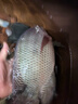 龙王恨鱼饵蓝鲫X5青春版腥香饵江河黑坑野钓鲫鲤草鳊鱼通杀综合钓鱼饵料 蓝鲫青春版-六蟲腥香(共1500g/5包) 实拍图