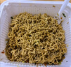 公仔炒面王方便面 蚝油海鲜味109g*6盒 速食拌面即食早餐泡面零食 实拍图