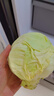 高原夏菜新鲜包菜卷心菜绿甘南菜甘蓝圆白菜时令蔬菜健康营养早餐 1.5斤-2斤高端标准菜 实拍图