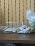 南国生椰拿铁咖啡15gX90包 椰奶咖啡粉不加白砂糖 办公室咖啡 实拍图