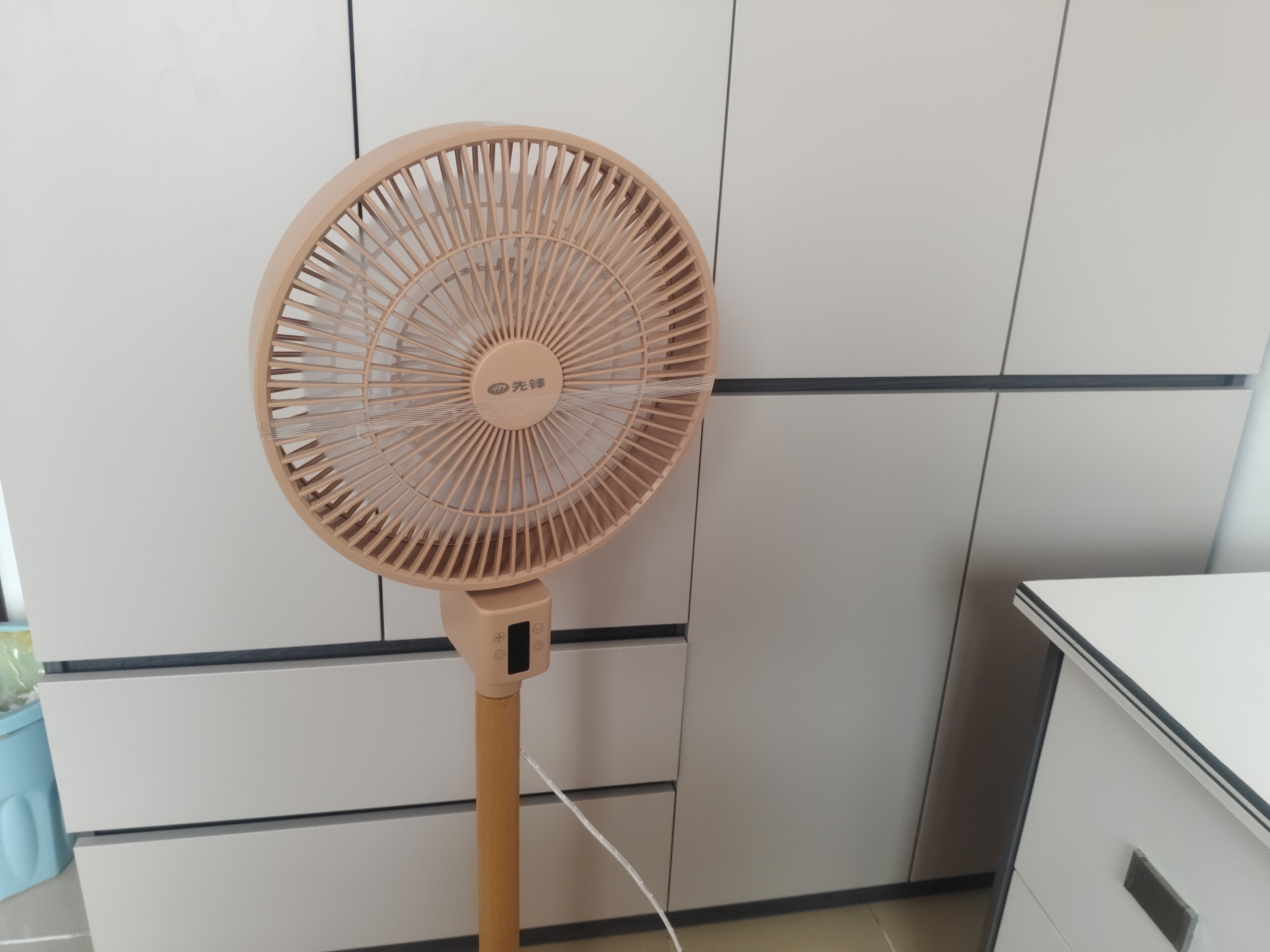 先锋【双层平面柔风】家用双环18片风扇落地扇轻音节能空气循环扇直流电机落地扇DPS-P1RC 实拍图