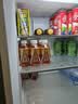 东鹏特饮有奖版 牛磺酸B族维生素运动饮料250ml*24瓶装整箱提神抗疲劳 实拍图