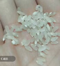 山东农家绿把紫皮长茄现摘现发新鲜嫩茄蔬菜生鲜 现摘新鲜茄子 2斤 净重 实拍图