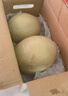 京鲜生 冰淇淋网纹蜜瓜 2粒装 净重4-5斤 单果2斤起 生鲜水果礼盒  实拍图