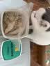 凯锐思冻干桶鸡肉宠物零食100%鲜肉蛋黄五拼猫狗通用 呵护肠胃 500g 实拍图